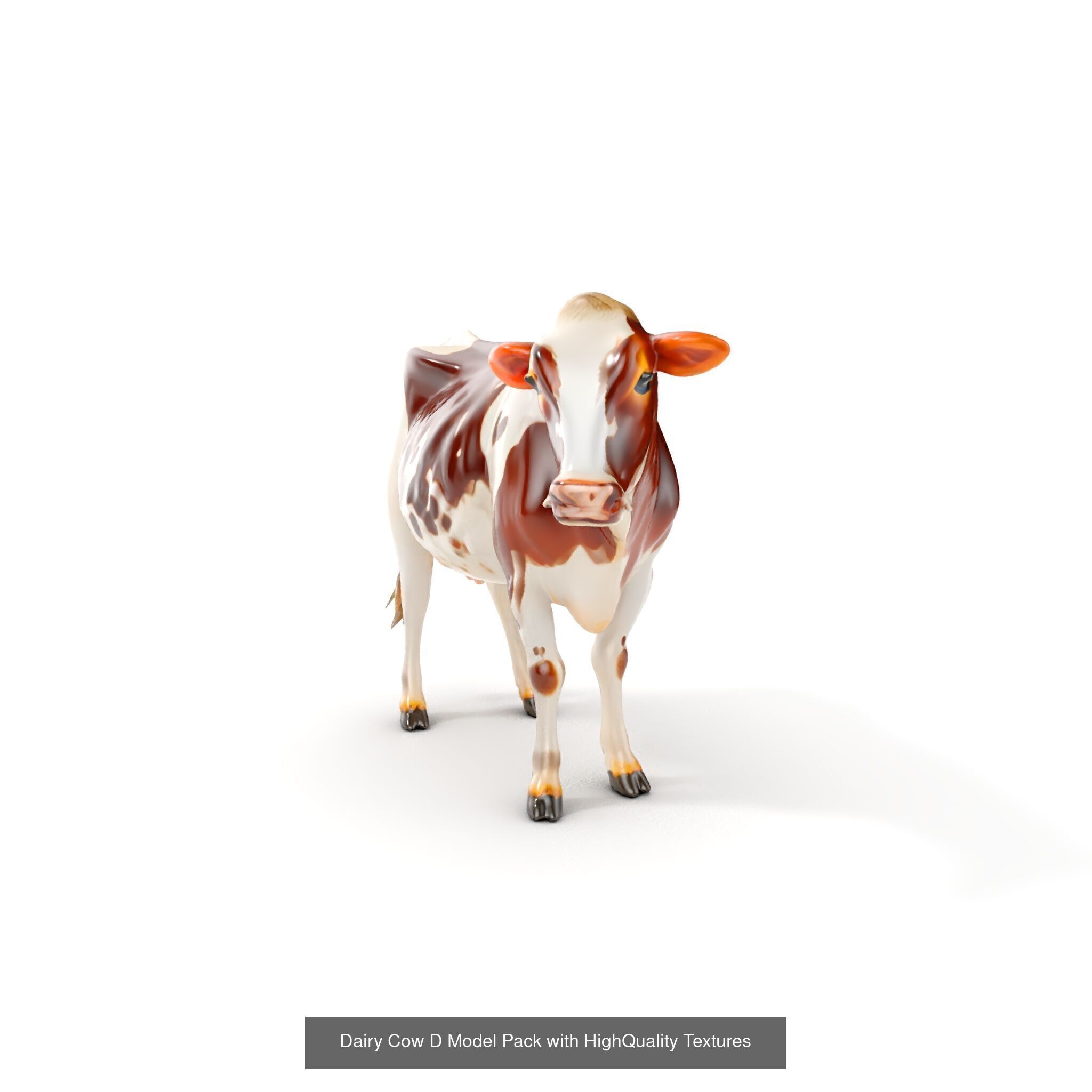 Multicolor Cow Models Pack 3D Model Collection_26