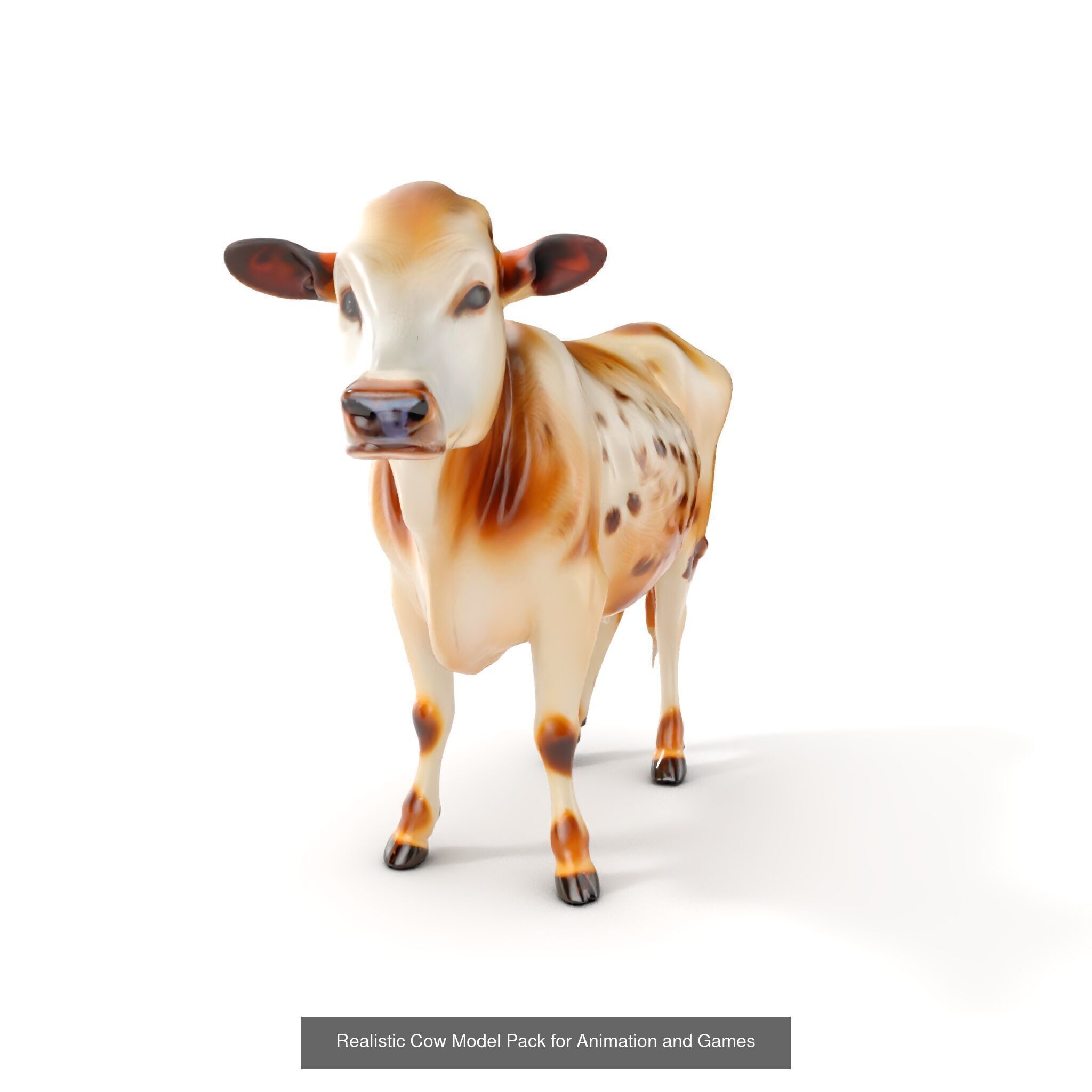 Multicolor Cow Models Pack 3D Model Collection_33