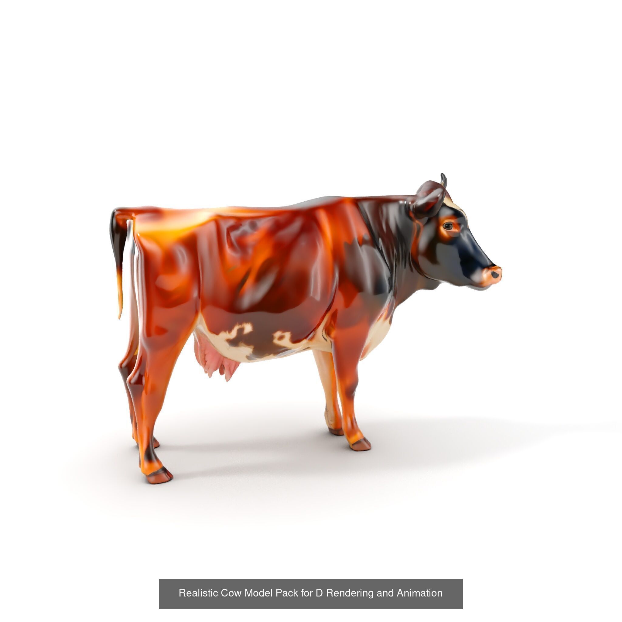 Multicolor Cow Models Pack 3D Model Collection_38