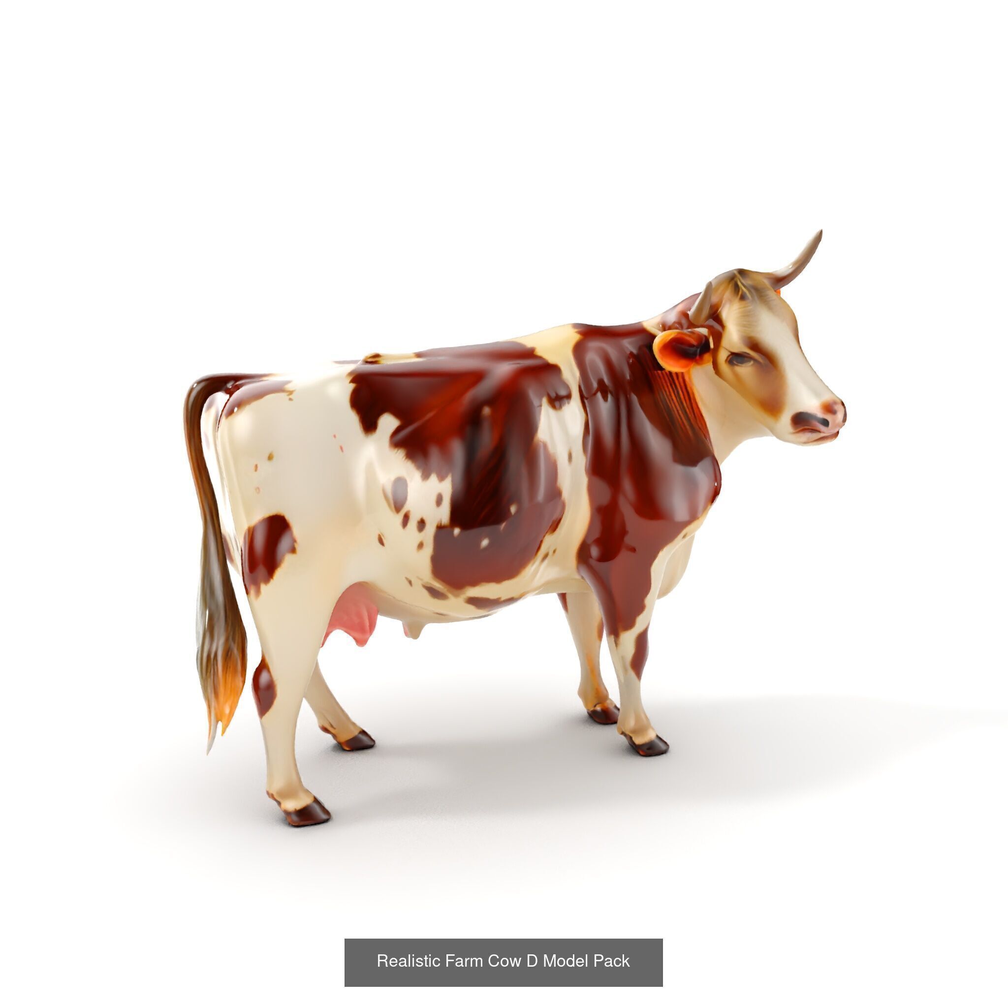 Multicolor Cow Models Pack 3D Model Collection_31