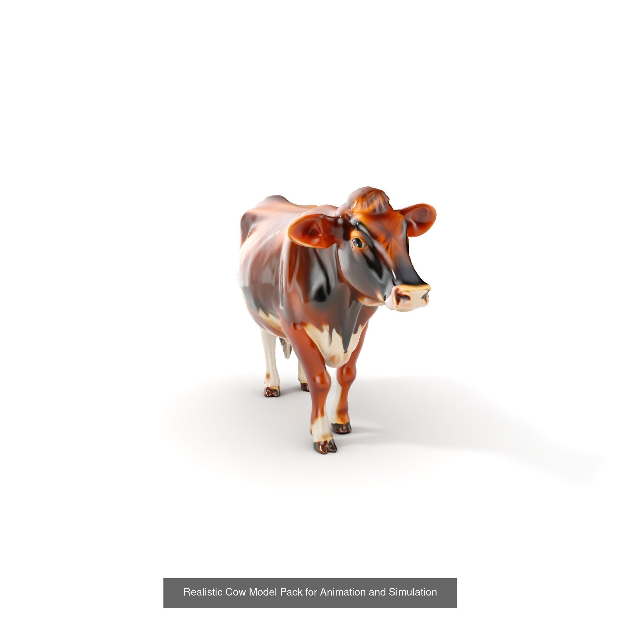 Multicolor Cow Models Pack 3D Model Collection_39