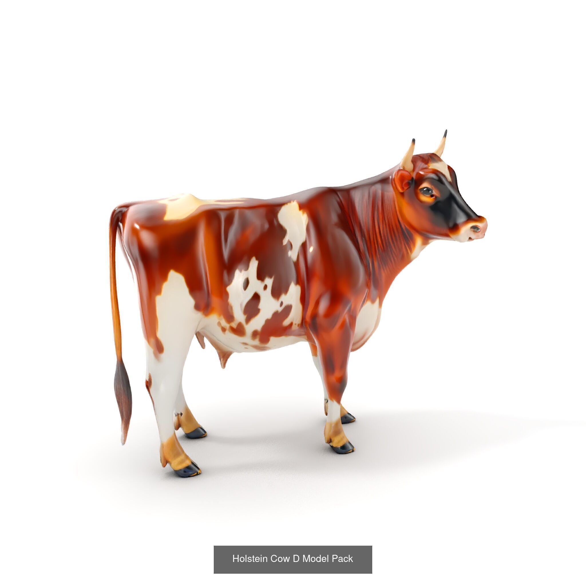 Multicolor Cow Models Pack 3D Model Collection_37