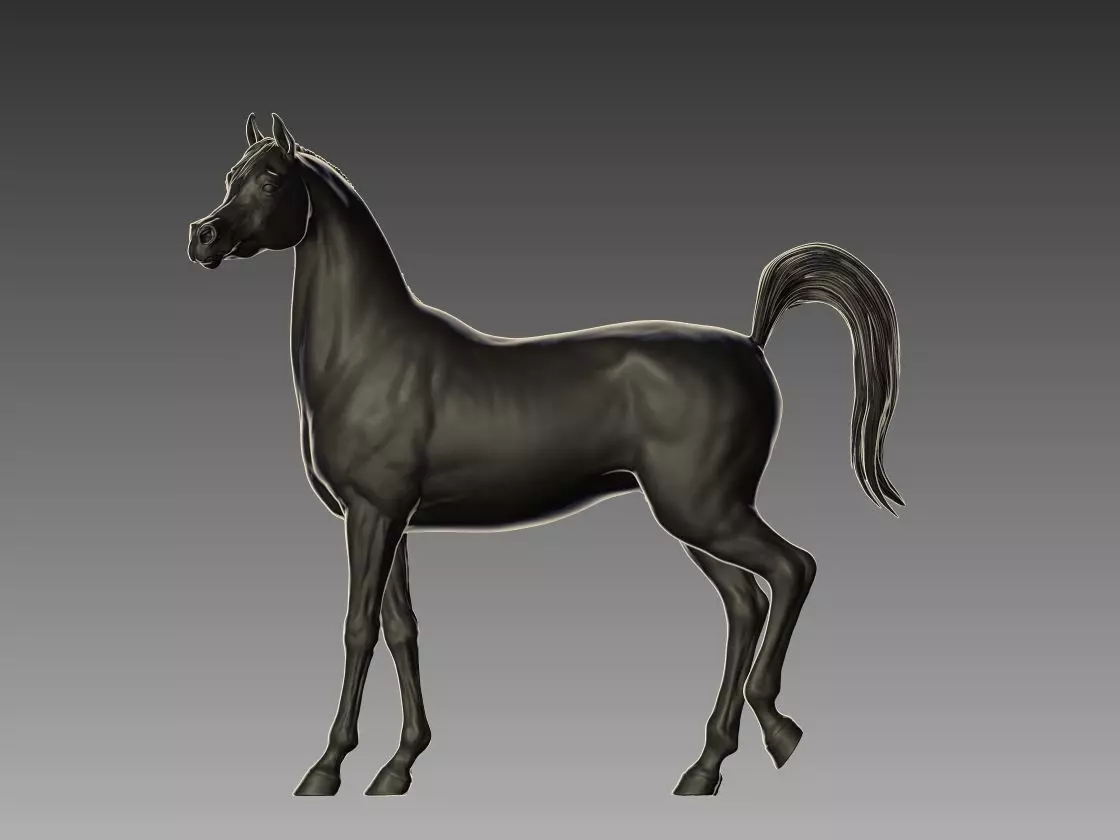 Arabian Horse Pose 02 3D print model