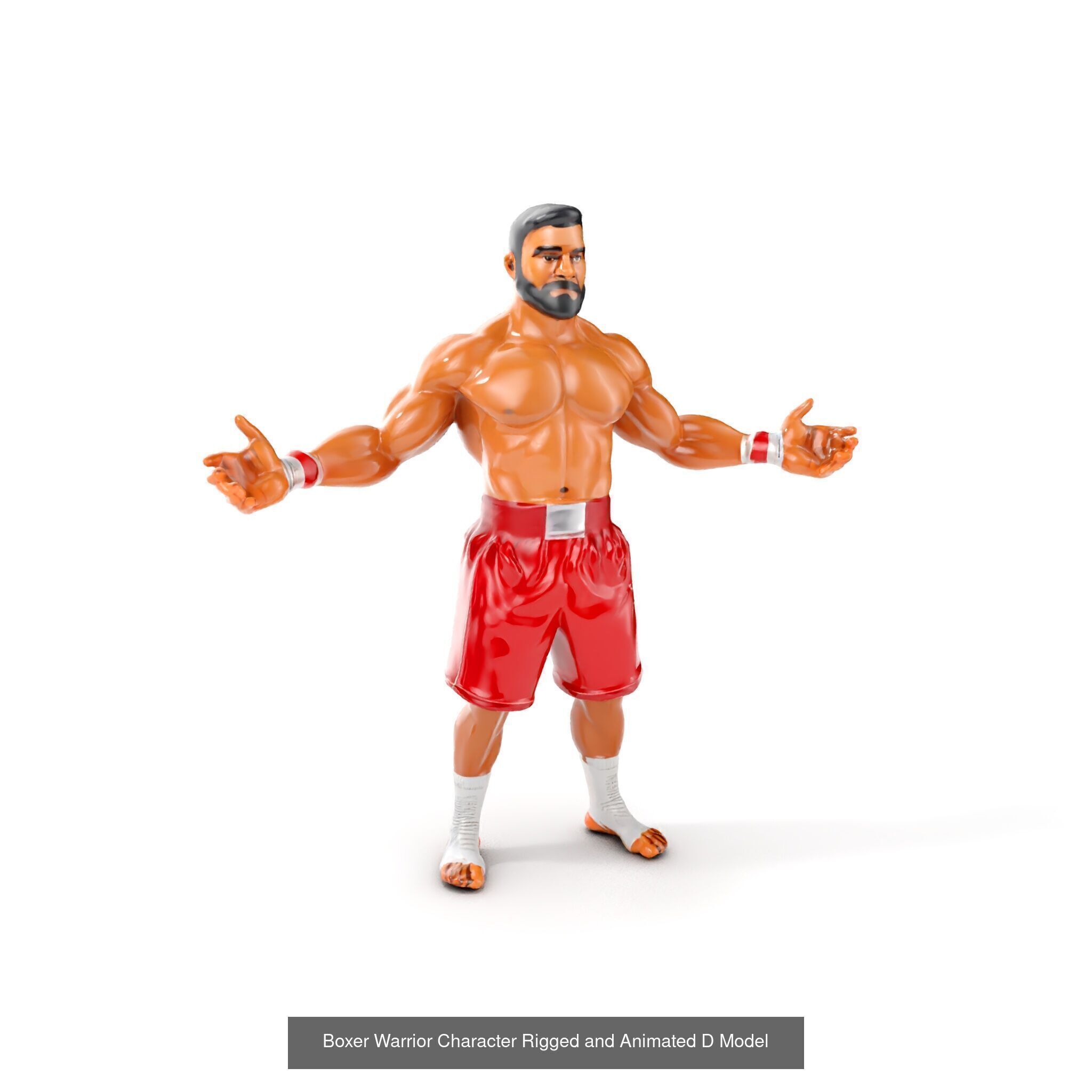 Boxing Champions Collection _27