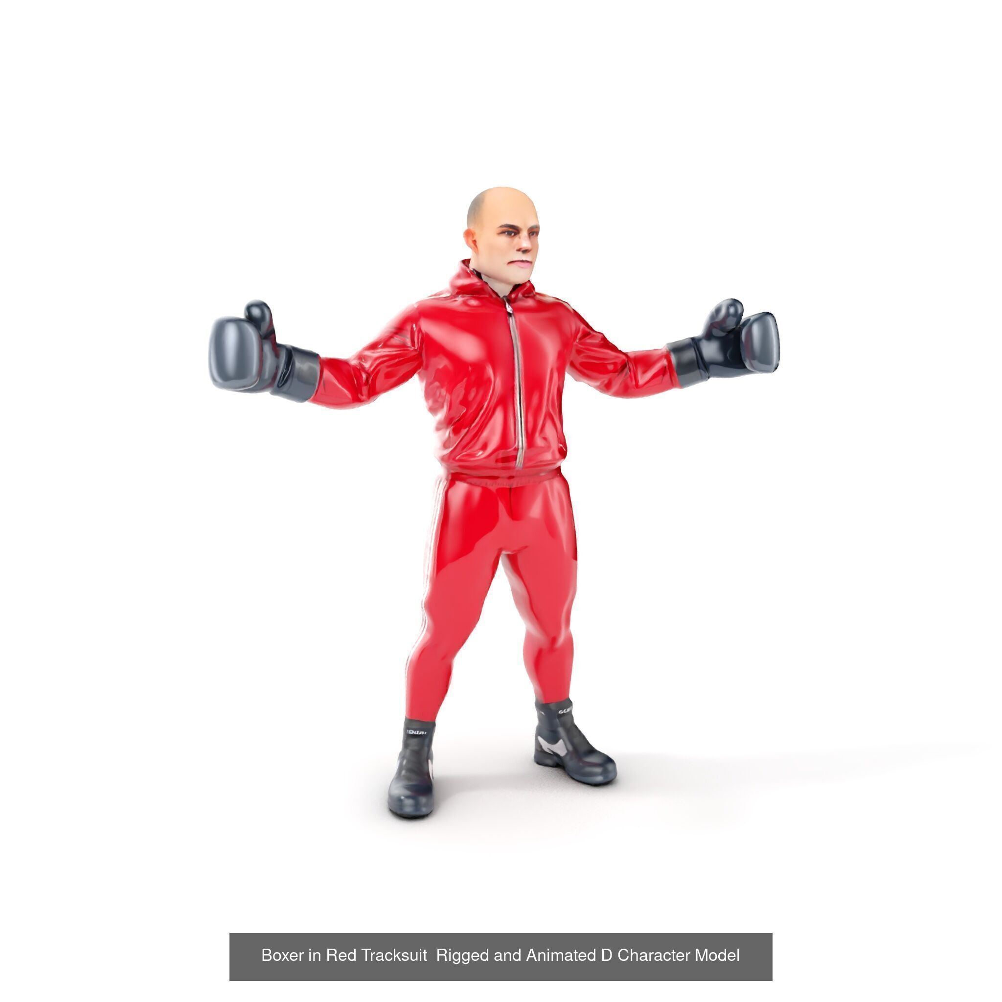 Boxing Champions Collection _30