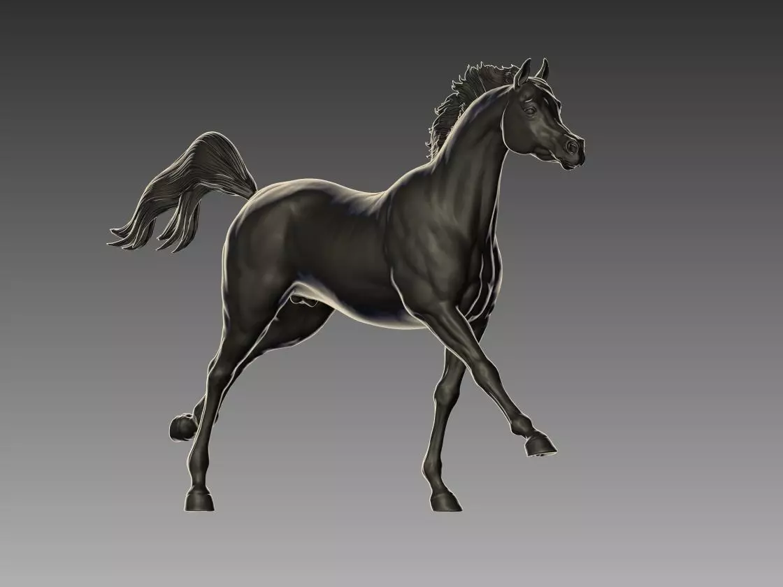 Arabian Horse Pose 04 3D print model