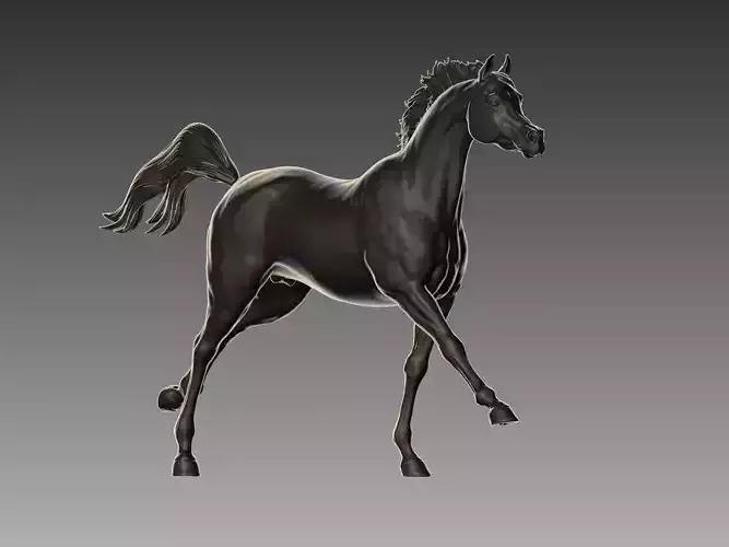 Arabian Horse Pose 04