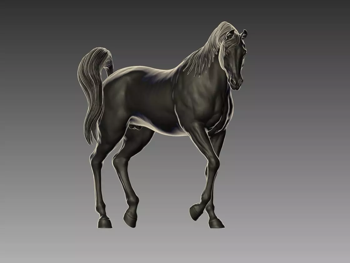 Arabian Horse Pose 05 3D print model
