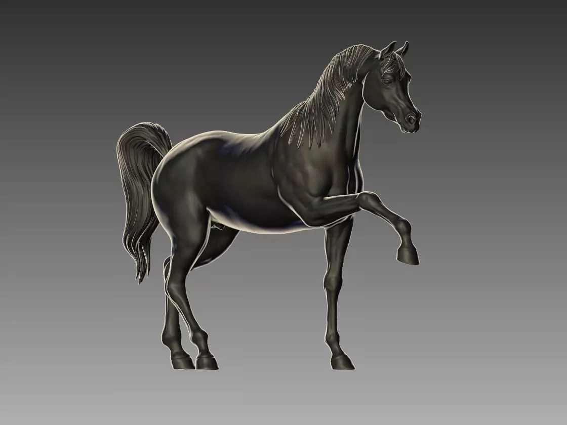 Arabian Horse Pose 06 3D print model_0