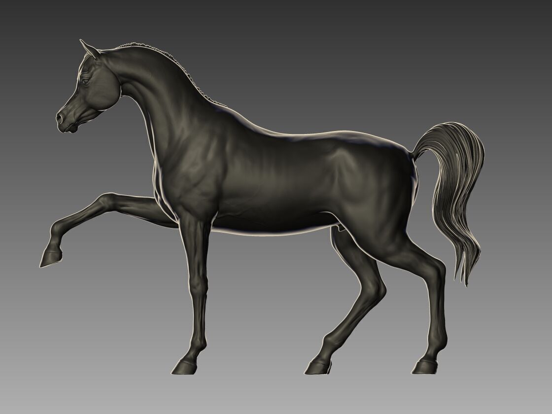 Arabian Horse Pose 06 3D print model_3