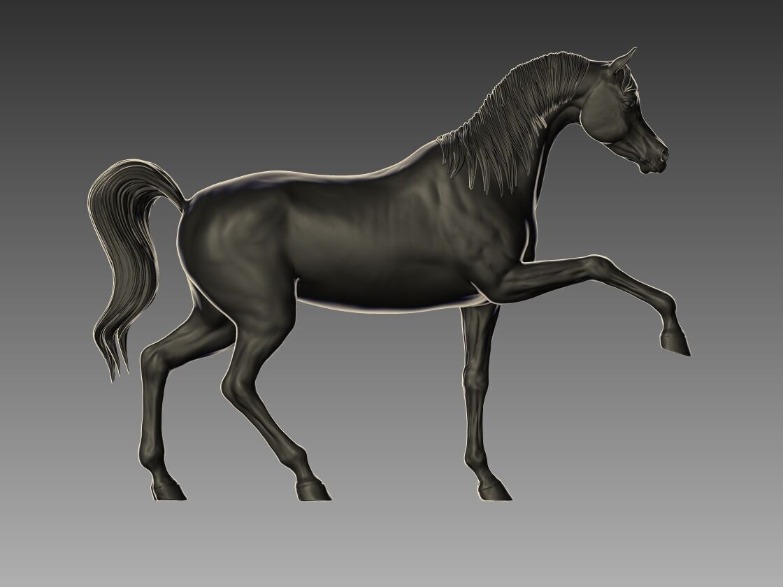 Arabian Horse Pose 06 3D print model_1