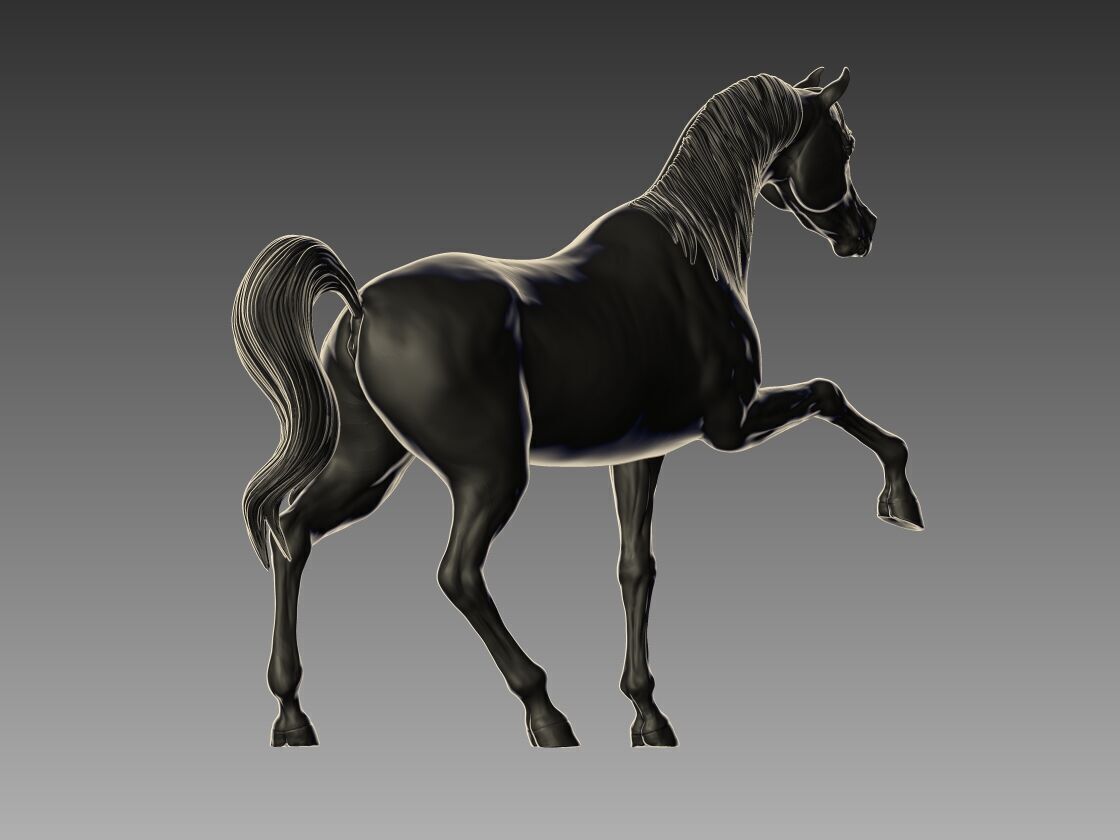 Arabian Horse Pose 06 3D print model_4