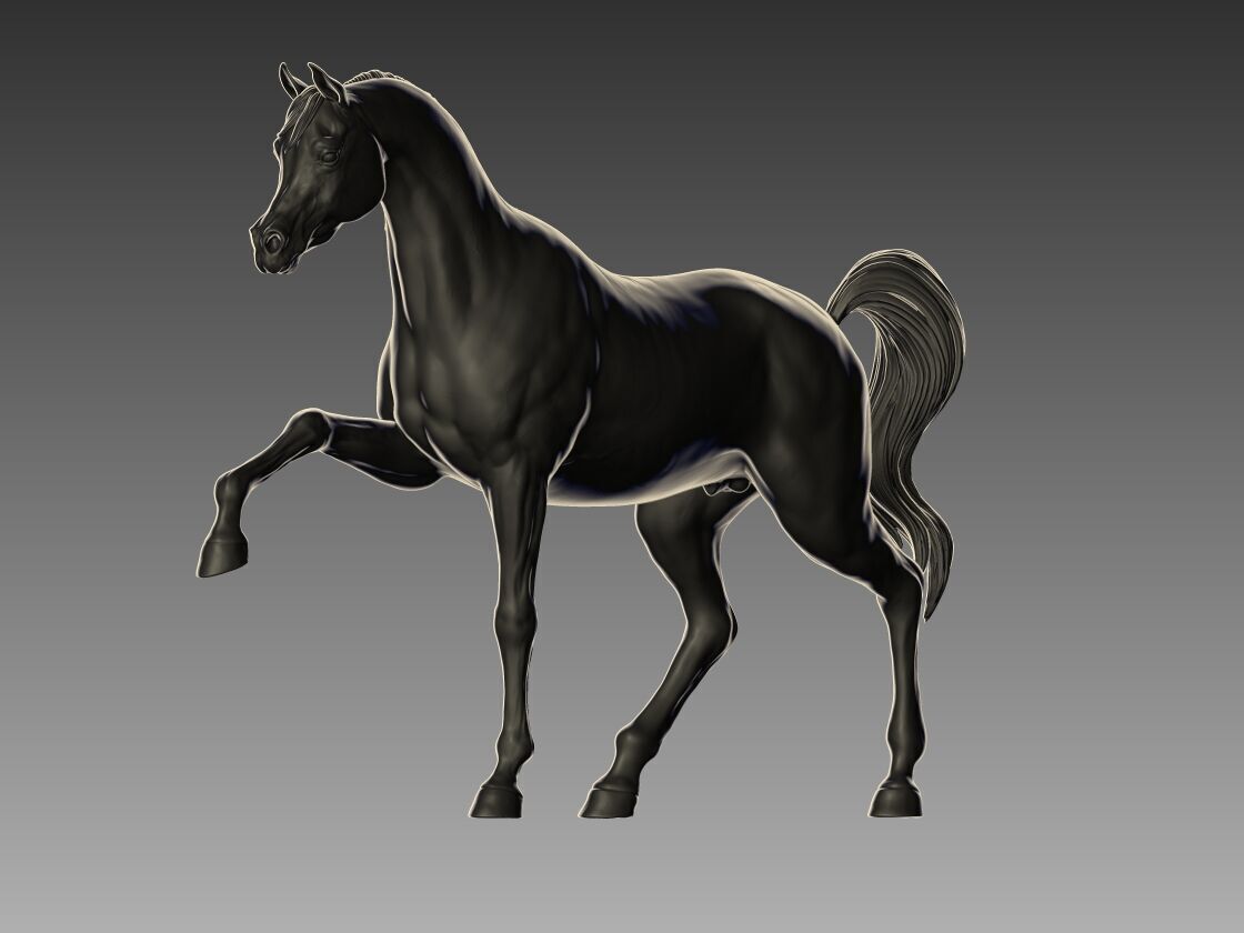 Arabian Horse Pose 06 3D print model_2