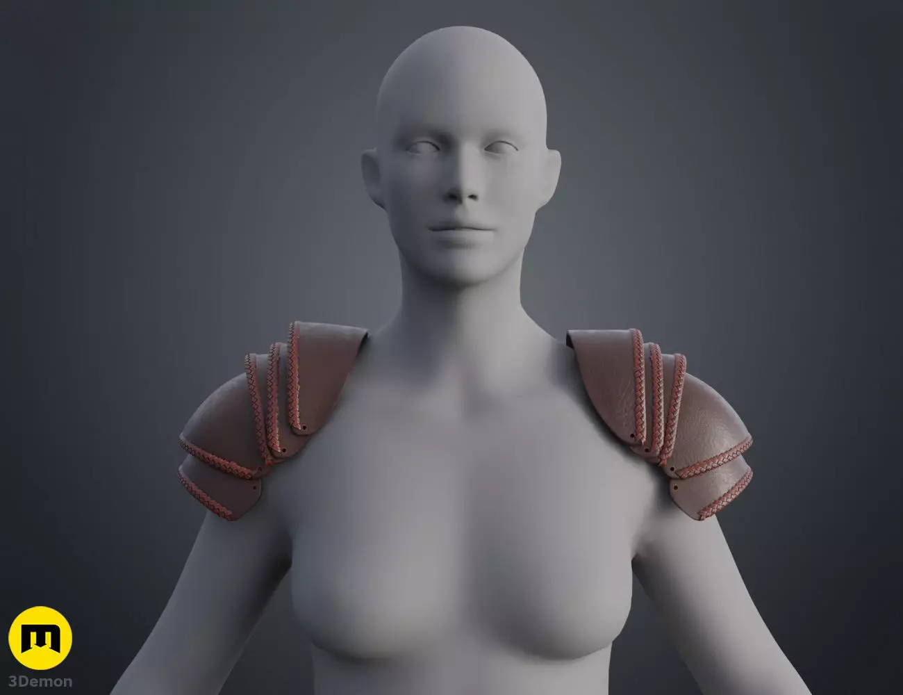 Astrid Leather Armor - How To Train Your Dragon 3D print model_0
