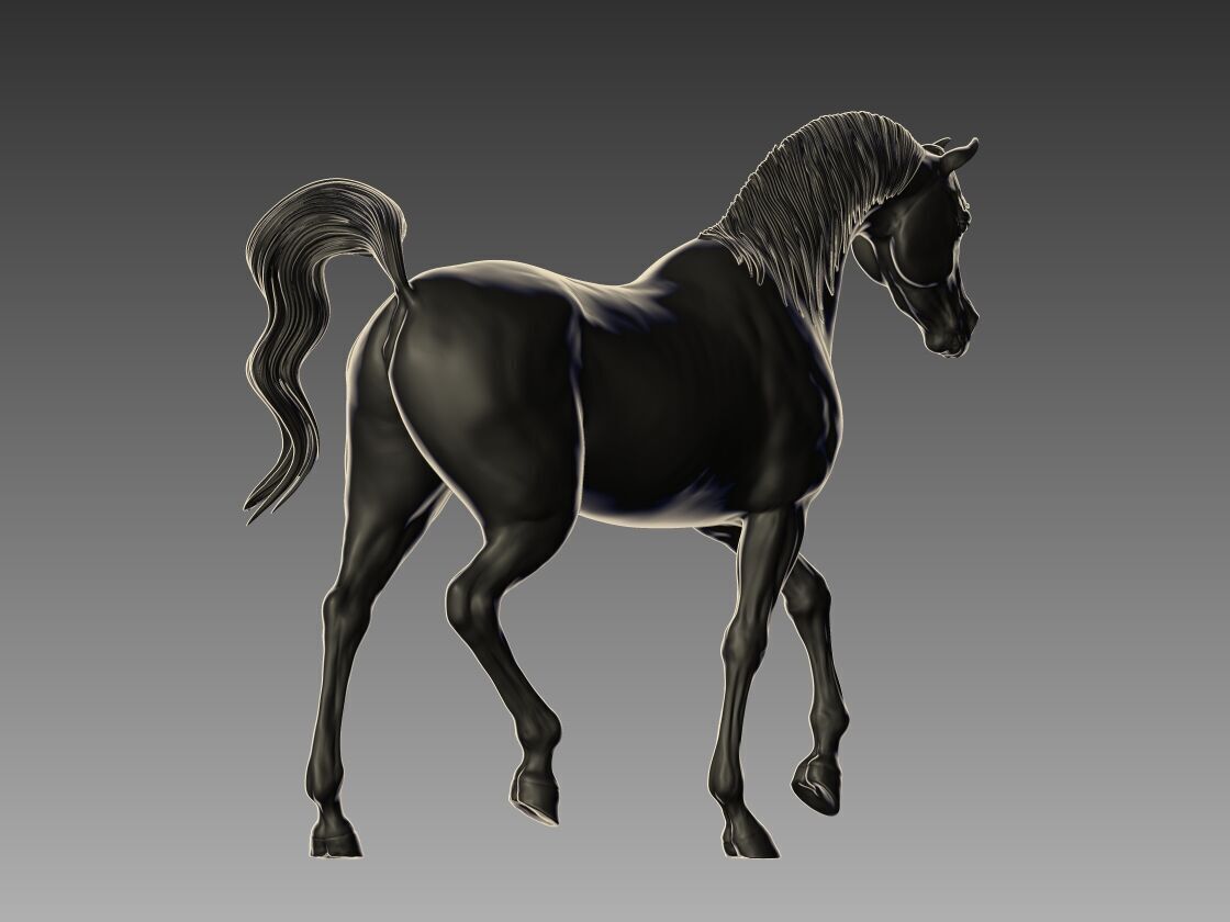 Arabian Horse Pose 07 3D print model_3