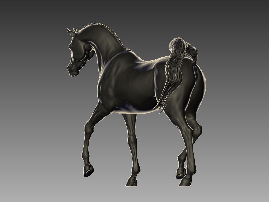 Arabian Horse Pose 07 3D print model_2