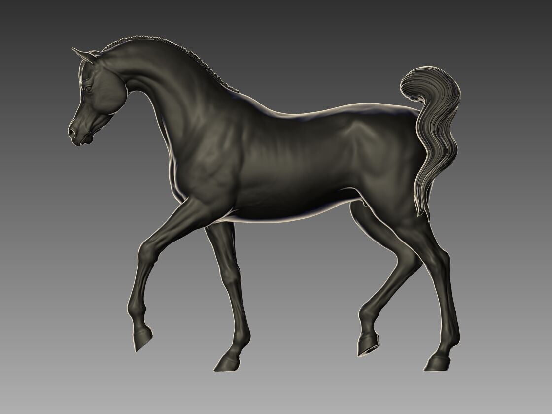 Arabian Horse Pose 07 3D print model_1