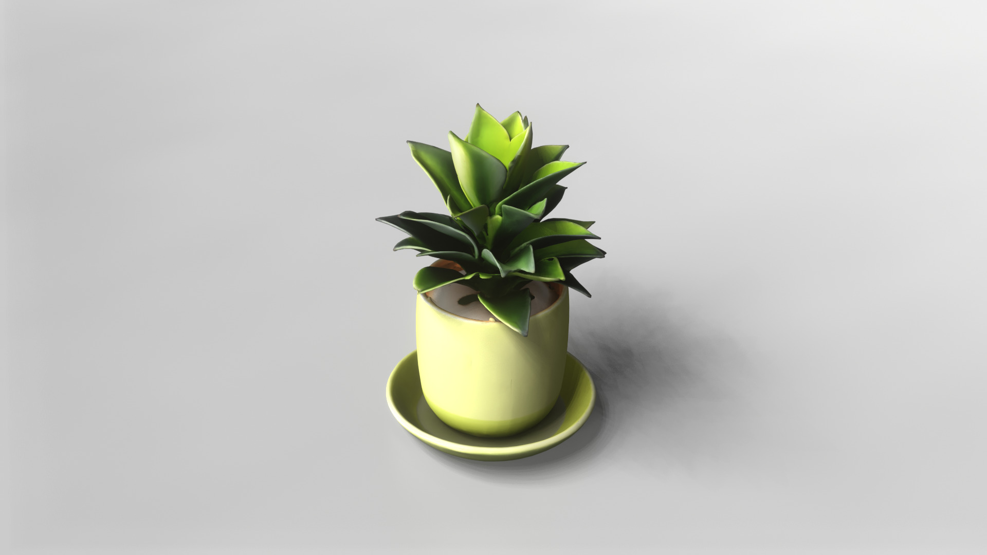 Modern Green Potted Plant 3D Model 3D model_1