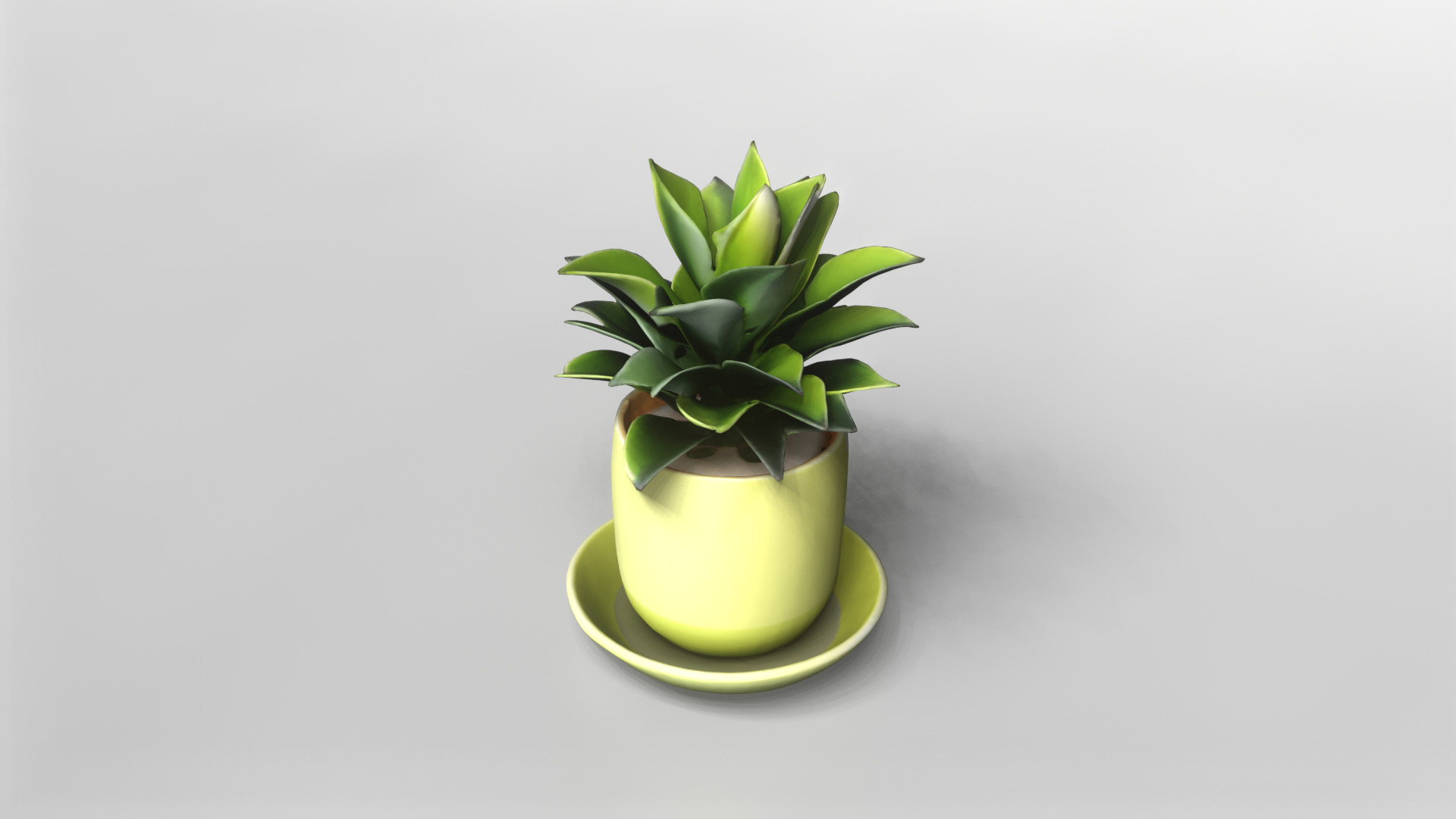 Modern Green Potted Plant 3D Model 3D model_2