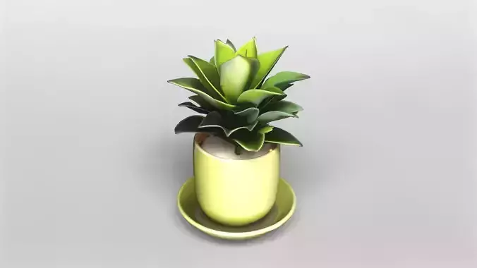 Modern Green Potted Plant 3D Model 3D model