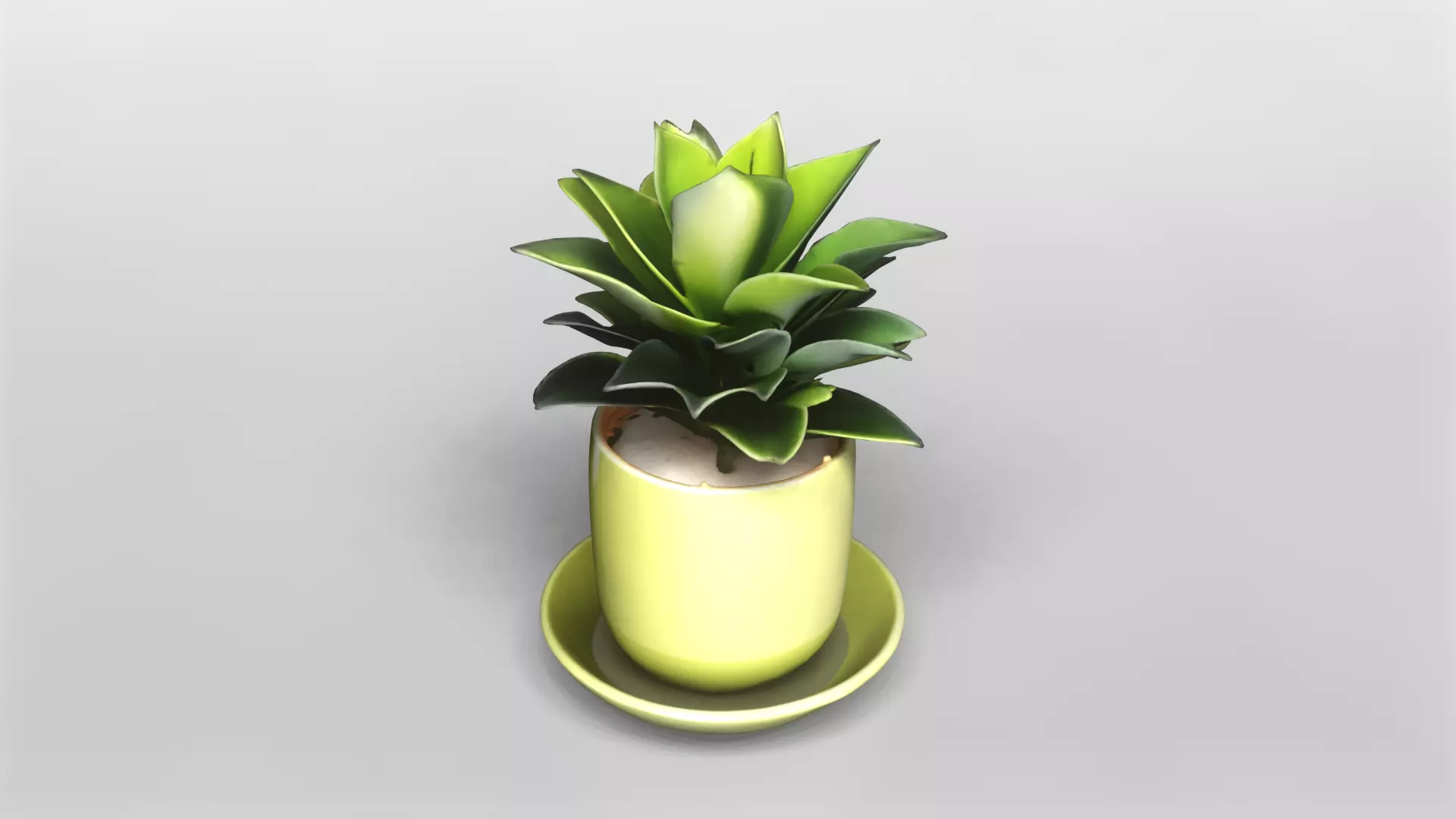 Modern Green Potted Plant 3D Model 3D model_0