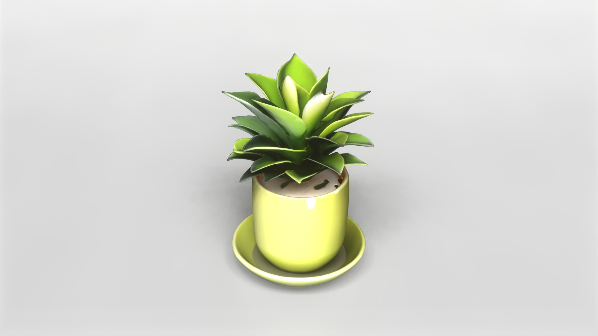 Modern Green Potted Plant 3D Model 3D model_3
