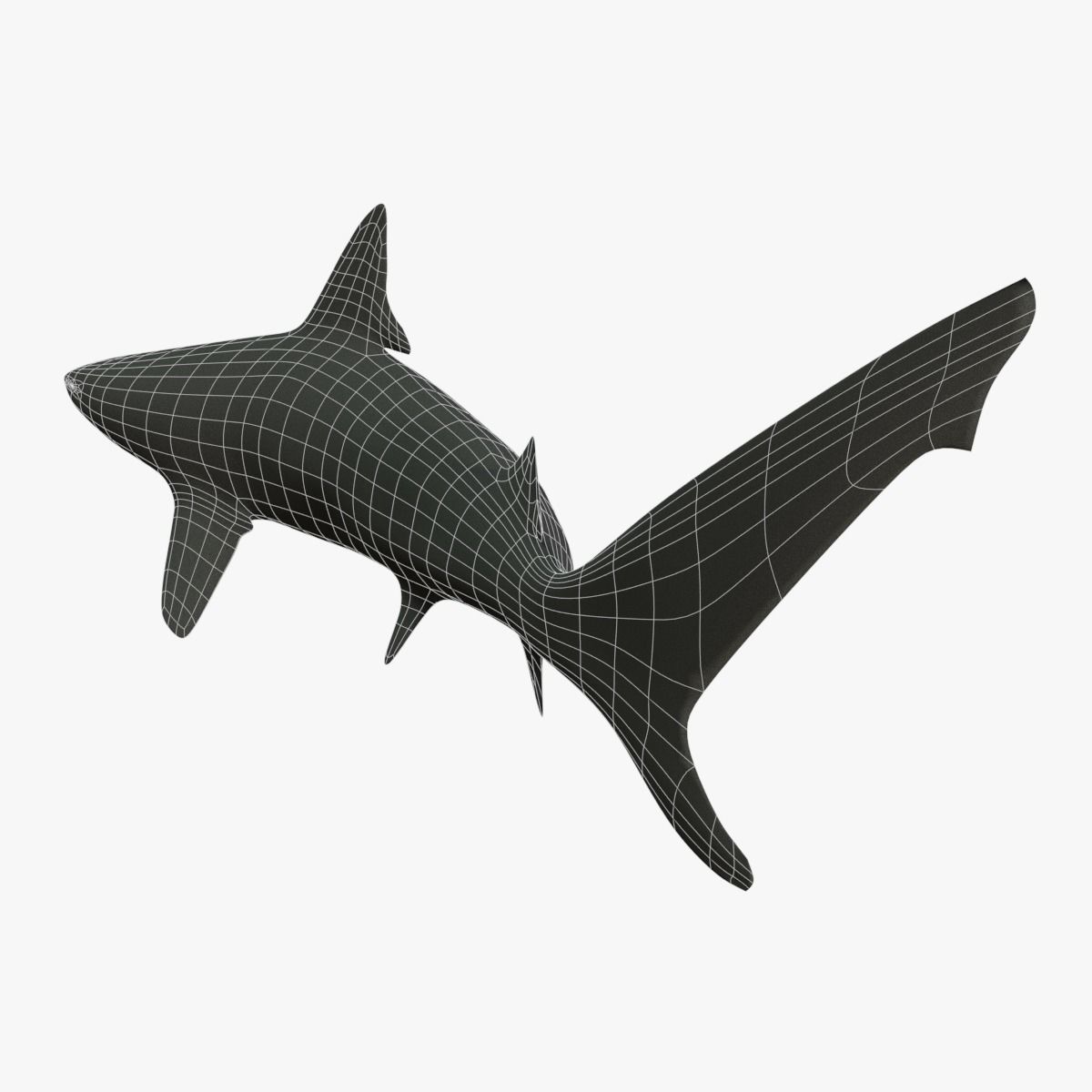 Blacktip Reef Shark Low-poly 3D model_7