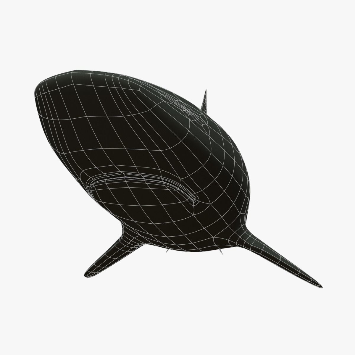 Blacktip Reef Shark Low-poly 3D model_15