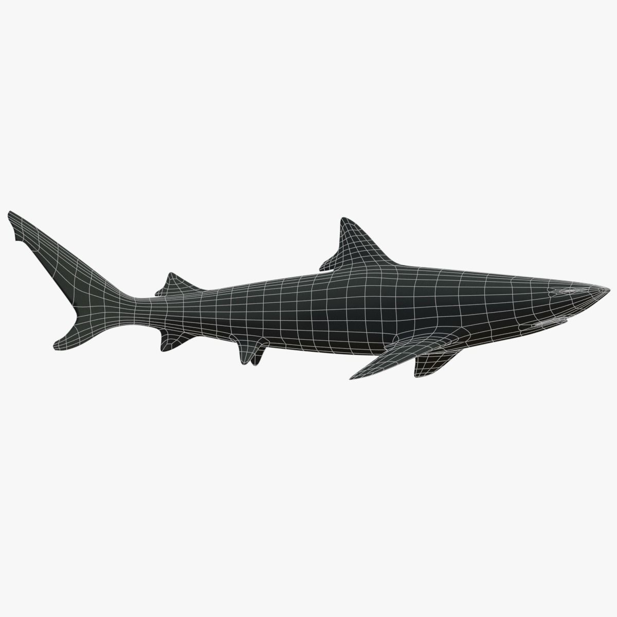 Blacktip Reef Shark Low-poly 3D model_3