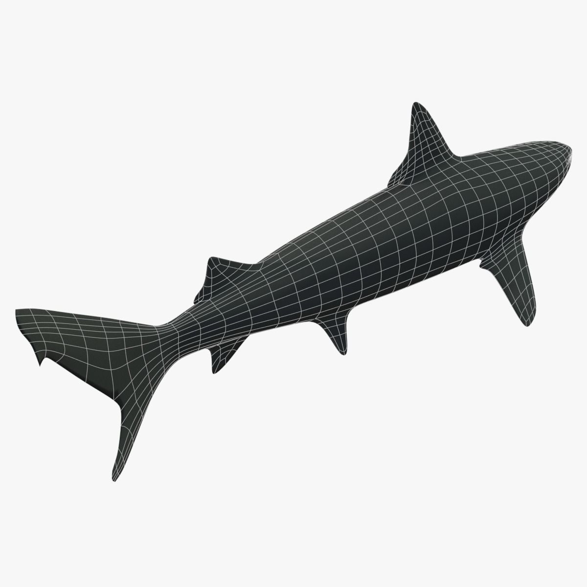 Blacktip Reef Shark Low-poly 3D model_5