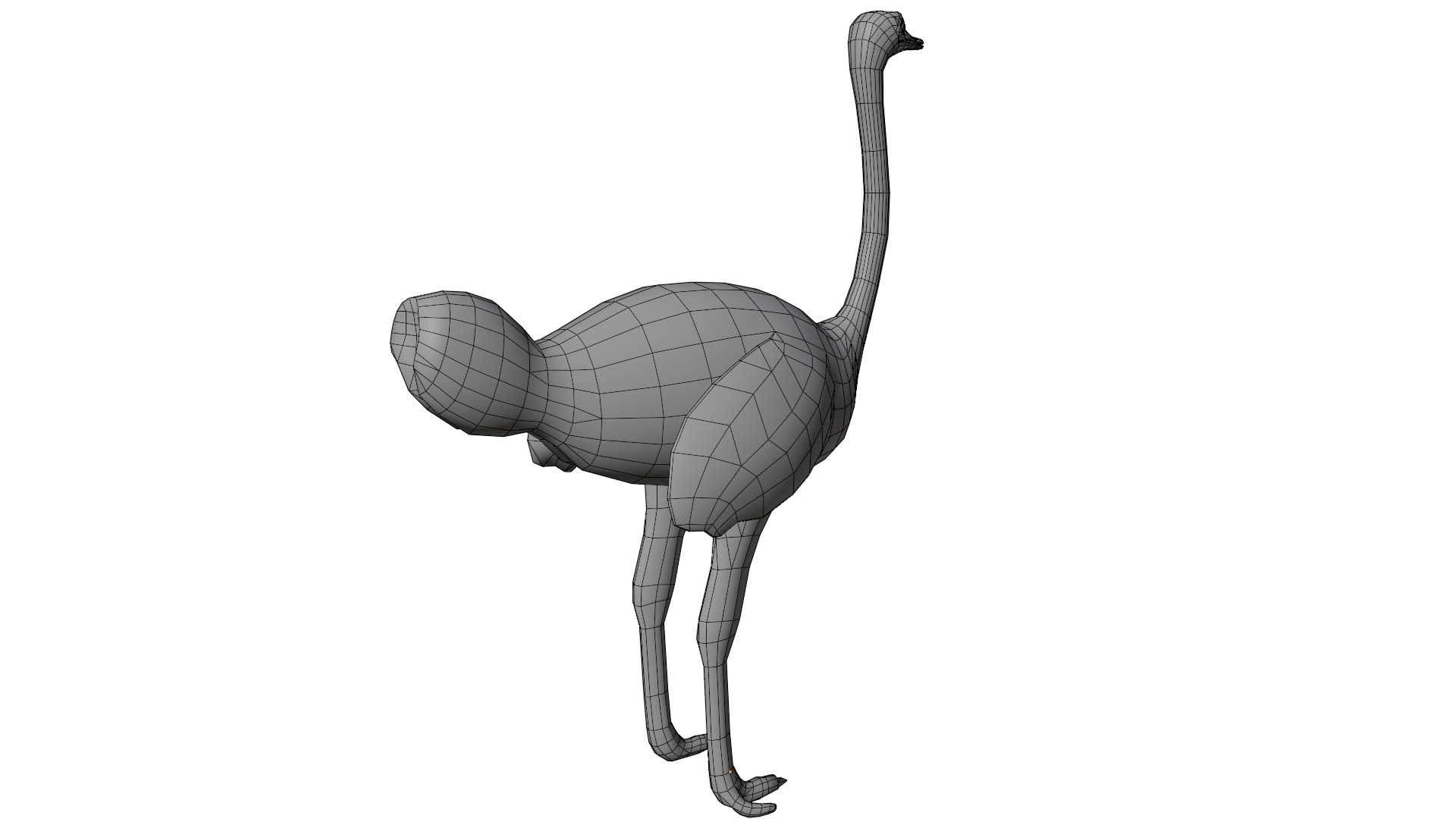 Ostrich 3D model_13