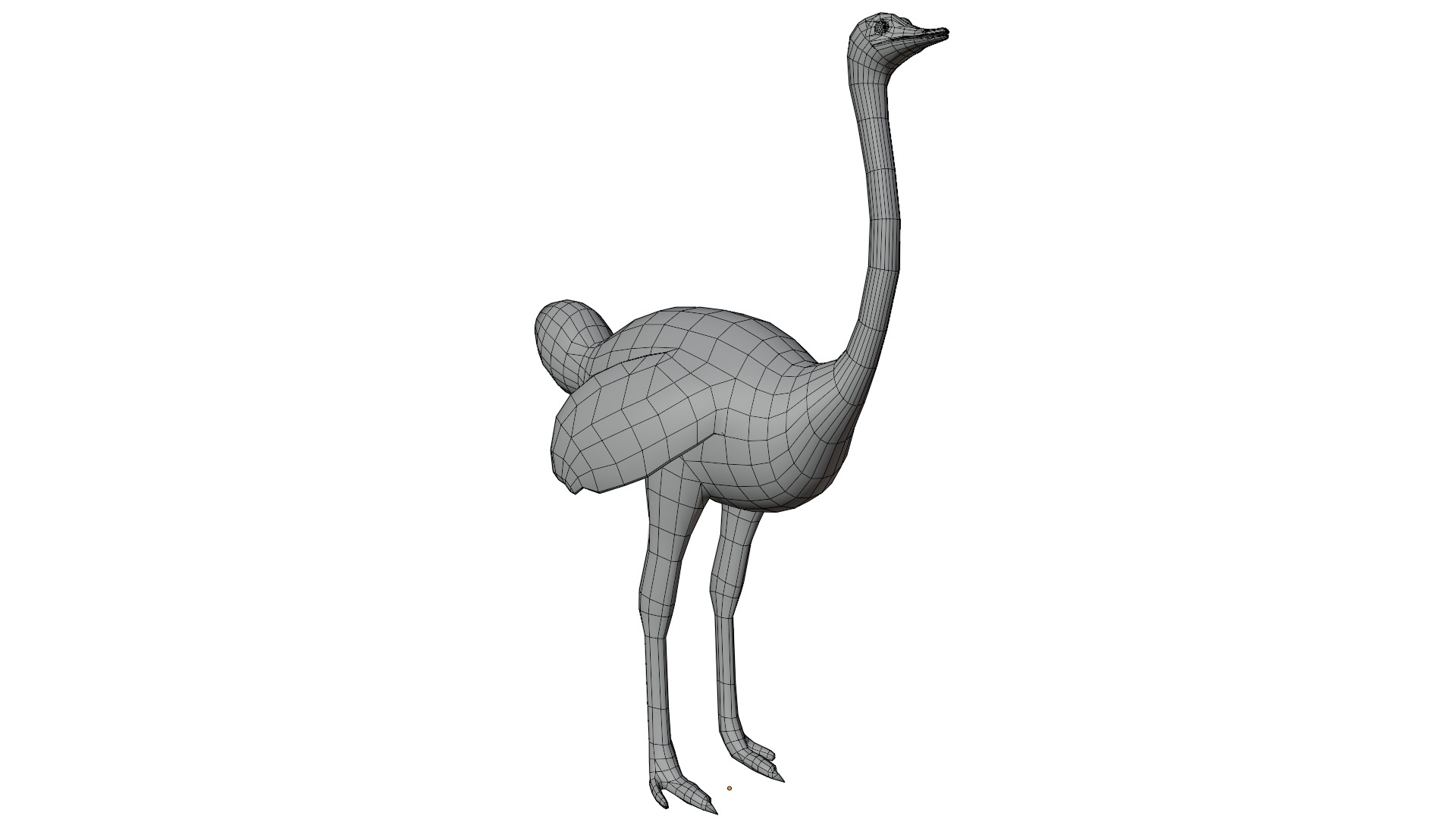 Ostrich 3D model_15