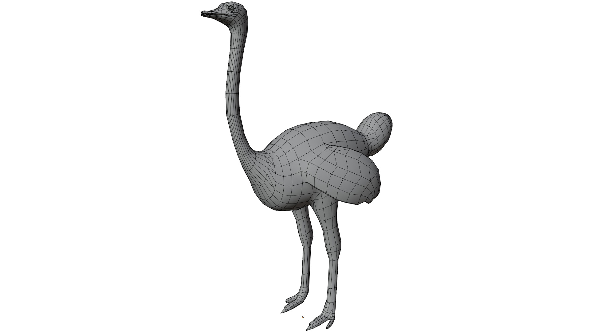 Ostrich 3D model_9