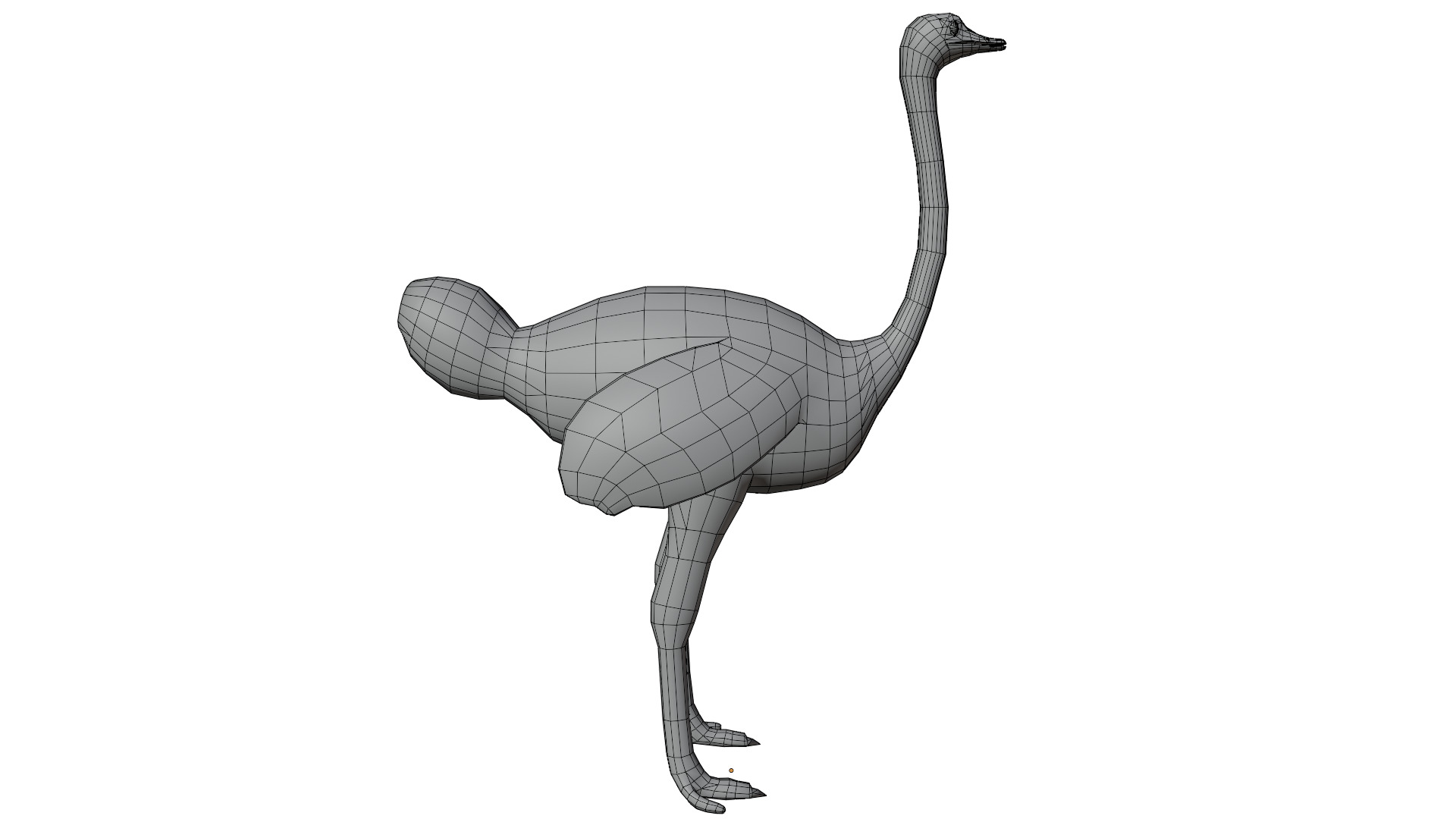 Ostrich 3D model_14