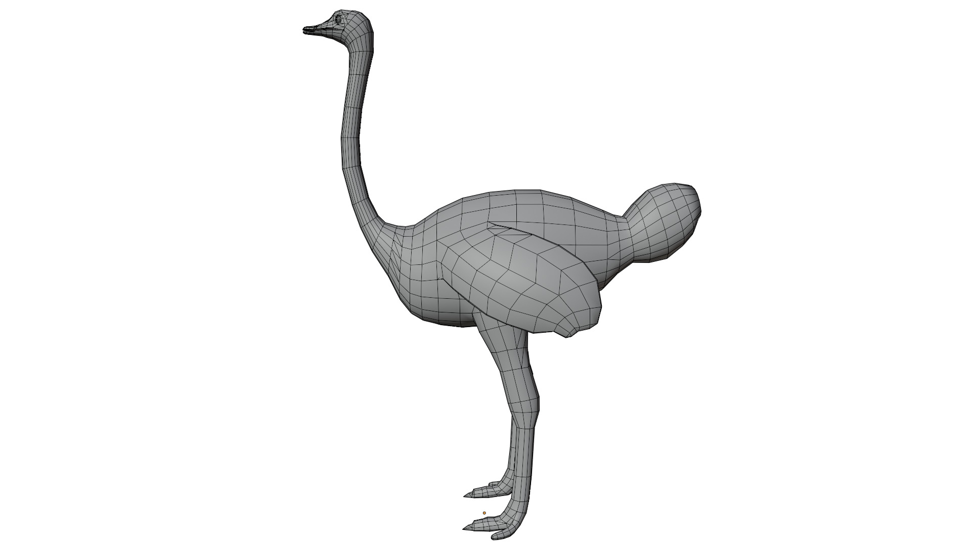Ostrich 3D model_10