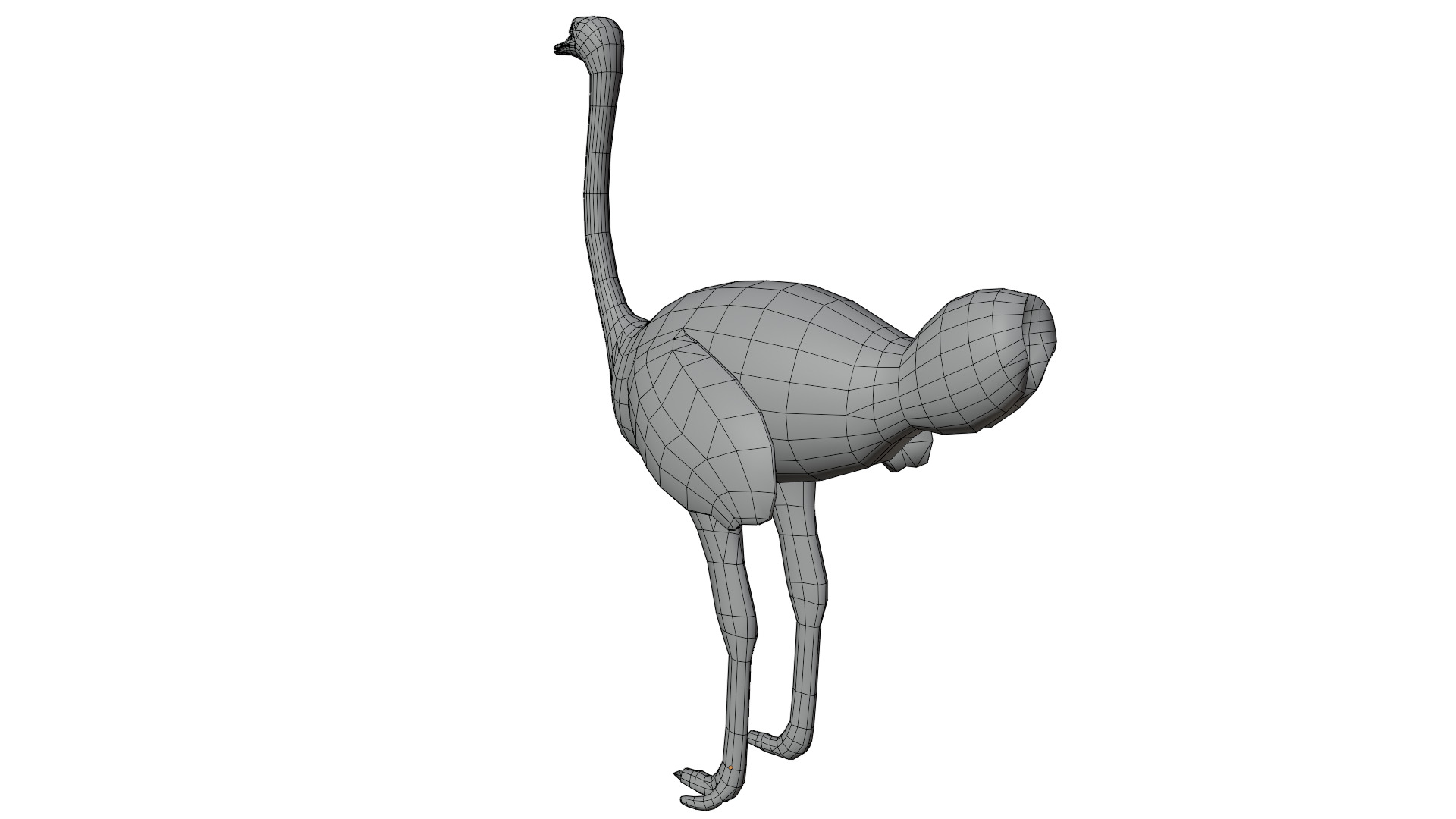 Ostrich 3D model_11