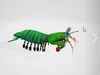 Mantis Shrimp 3D Model Low-poly 3D model_1