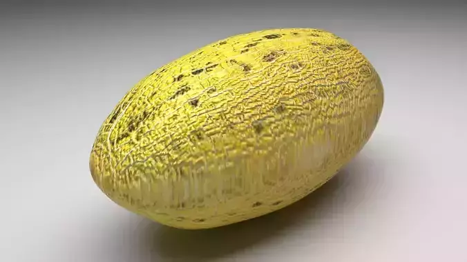Persian Melon 3D model