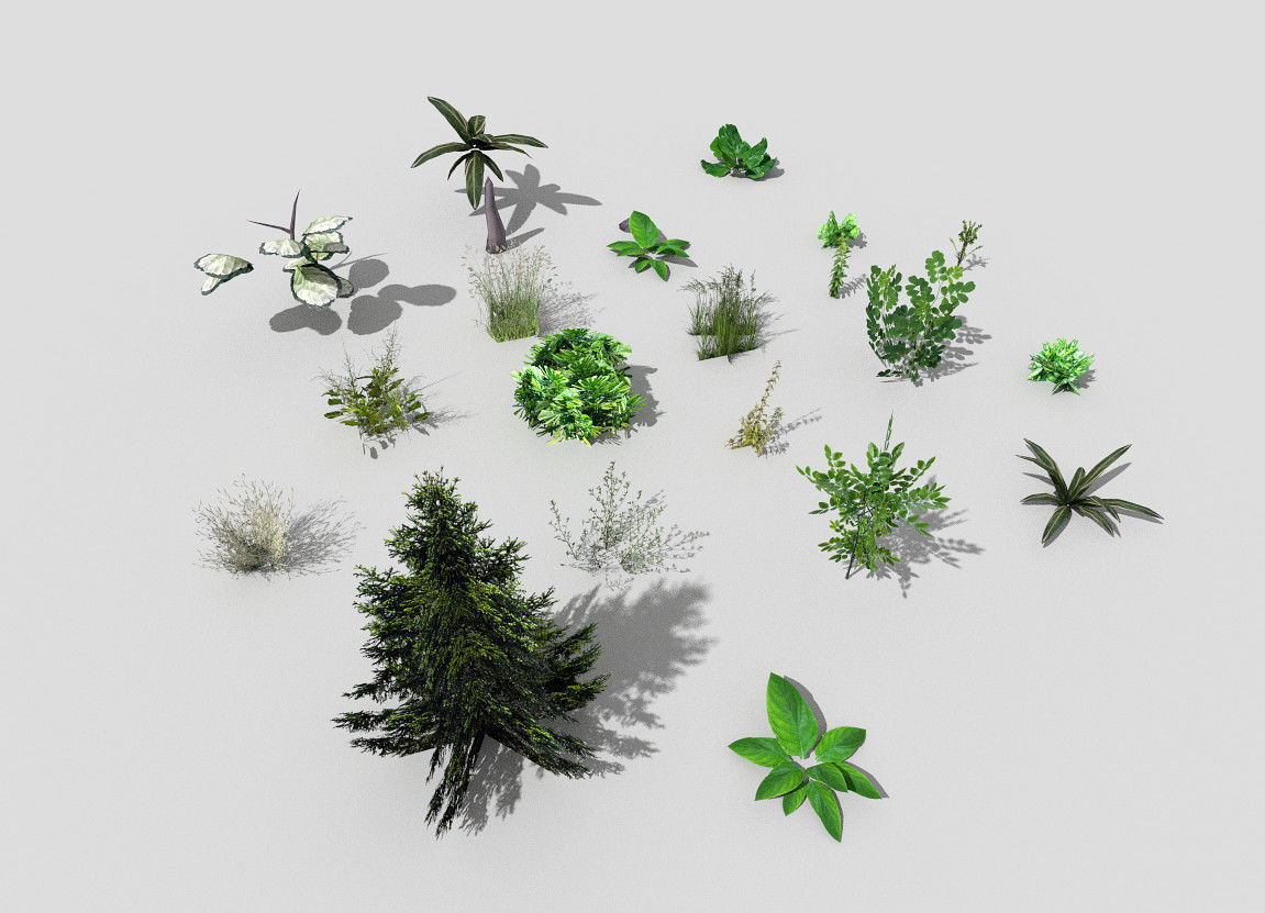 low poly foliage pack Low-poly 3D model_4