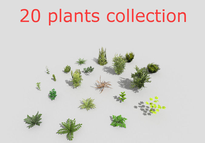 low poly foliage pack Low-poly 3D model
