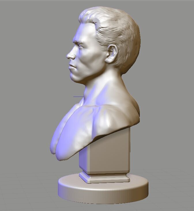 Arnold Schwarzenegger  3D print model_3