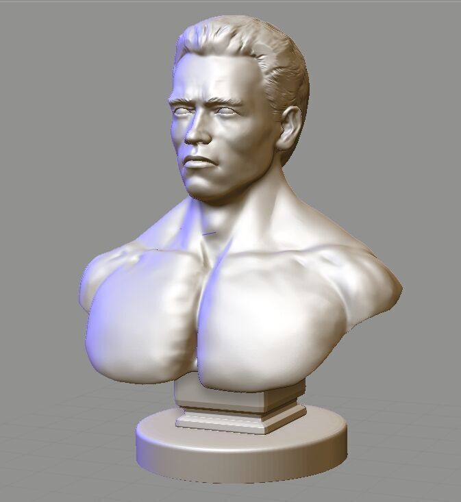 Arnold Schwarzenegger  3D print model_2