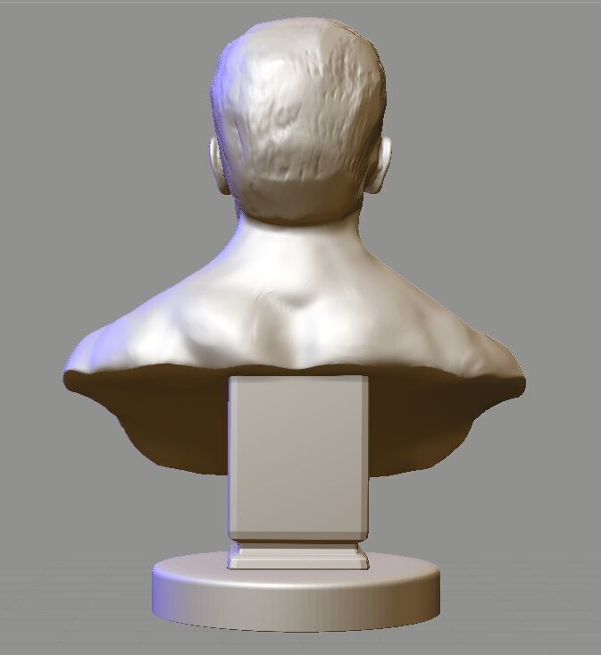 Arnold Schwarzenegger  3D print model_5