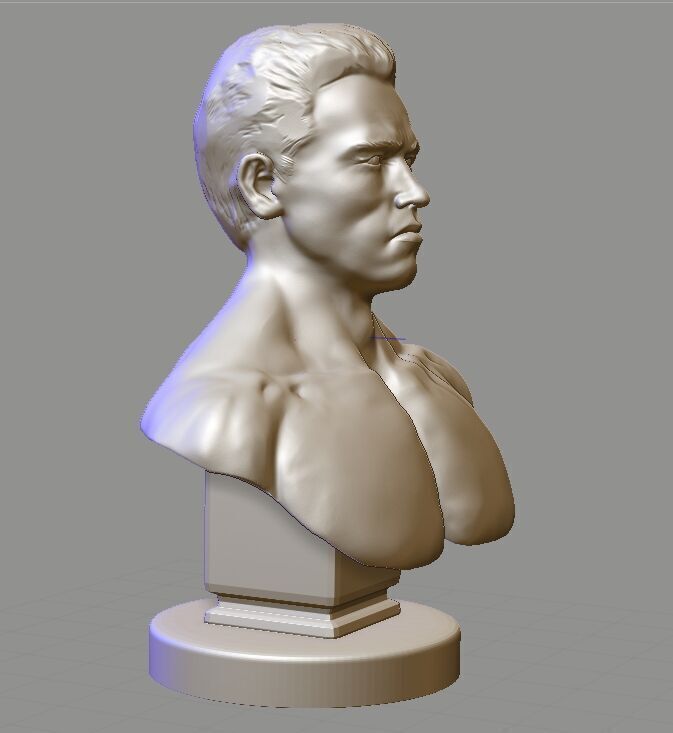 Arnold Schwarzenegger  3D print model_4