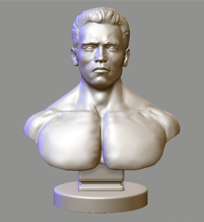 Arnold Schwarzenegger  3D print model_1
