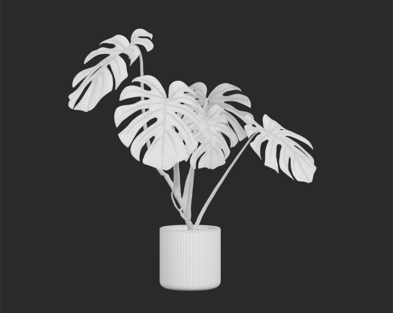 Monstera plant in pot 3d model architecture interior design 3D model_2