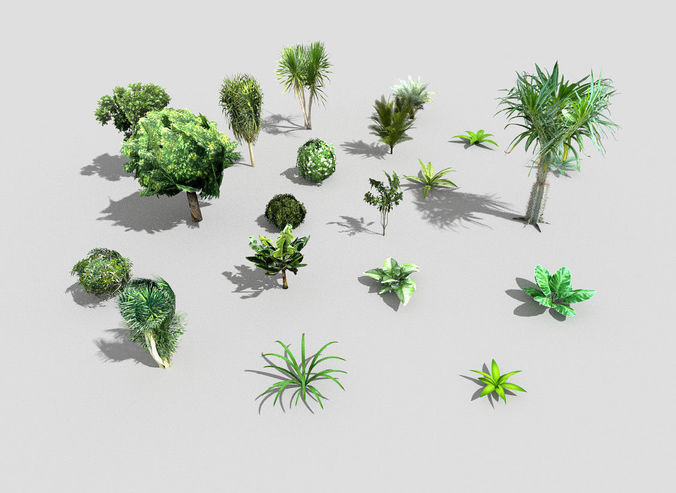 low poly foliage pack Low-poly 3D model