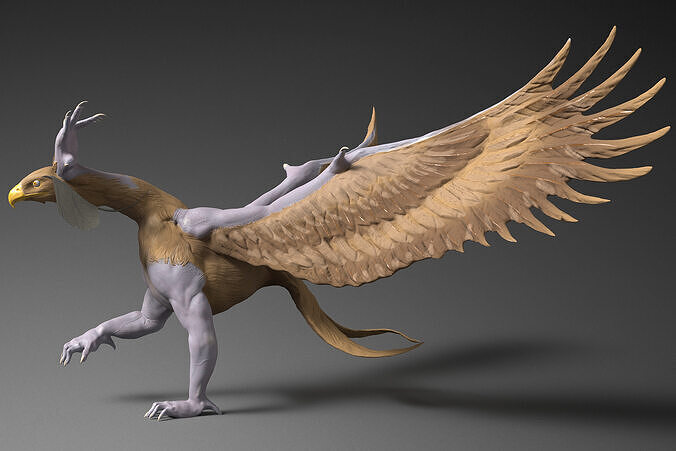 Fantastic Bird 3D print model