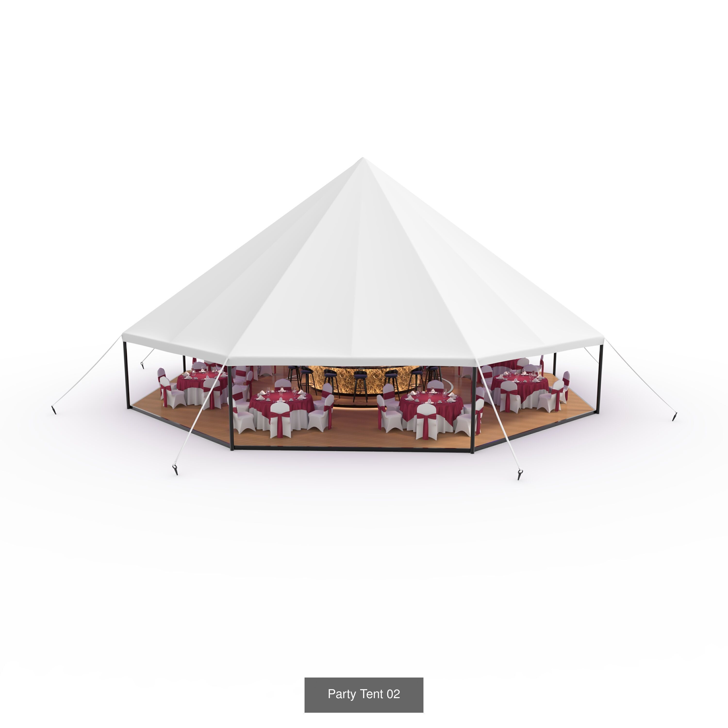 Collection Party Tent 01 _2