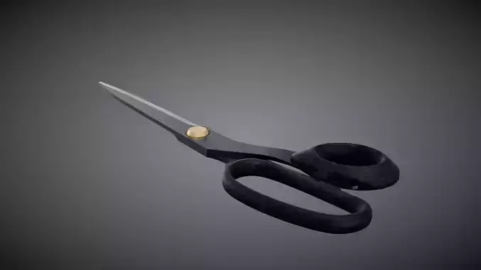 Fabric Scissors